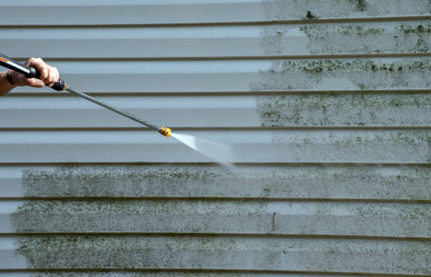 Best Residential Pressure Washing in Rutland, VT